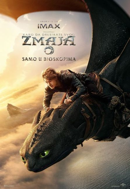 KAKO DA DRESIRATE SVOG ZMAJA 2D (sinhron.)
